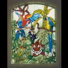 Parrot Window